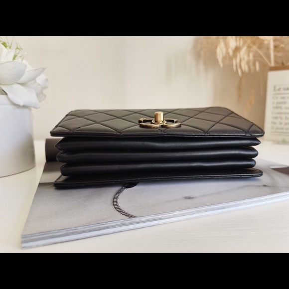 Chanel Most Wanted Princess Enamel Calfskin Bag - Picture 6 of 15